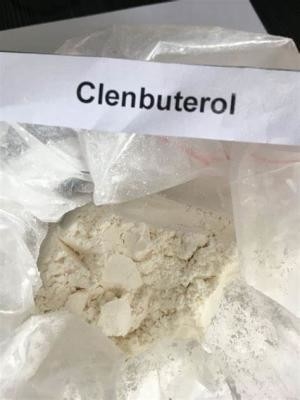 Hydrochlorid-Pulver-Api Chemical-wickr CASs 21898-19-1 Clenbuterol ich, wanjiang