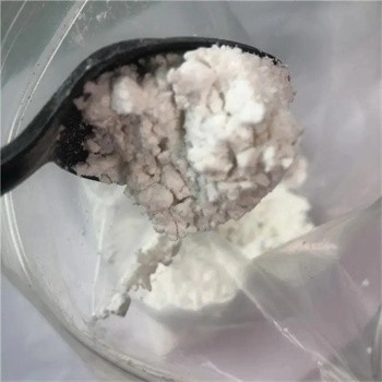 BMK Glycidic Acid Sodium Salt Powder 5449-12-7 Bmk-Pulverlager in den Niederlanden, Deutschland, Großbritannien