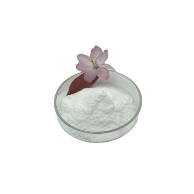 Lieferungs-Feinchemikalien-Vermittler 99% Benzocaine CASs 94-09-7 sicherer