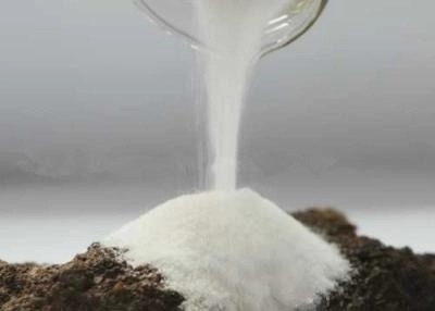 Doppeltes Zollabfertigung Phenacetin-Schmerzmittel pulverisieren CAS 62-44-2 für die Schmerz-Entlastung