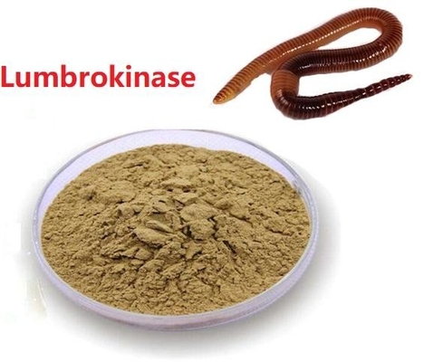 Auszug-sichere Lieferungs-Rohstoff Lumbrokinase API Raw Powder Low Prices Lumbrokinase