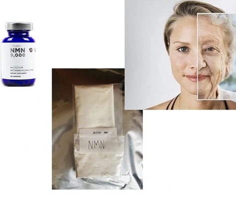 Reines Nmn ergänzt Nikotinamid-Monokleotid Beta CAS Nmn 1094-61-7