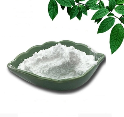 heißer verkaufender hochwertiger 613-93-4 N-METHYLBENZAMIDE Porzellanlieferant